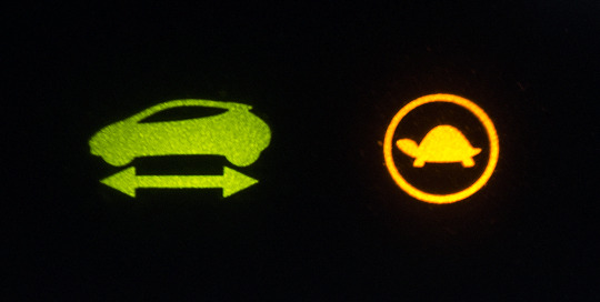 nissan leaf schildpadje